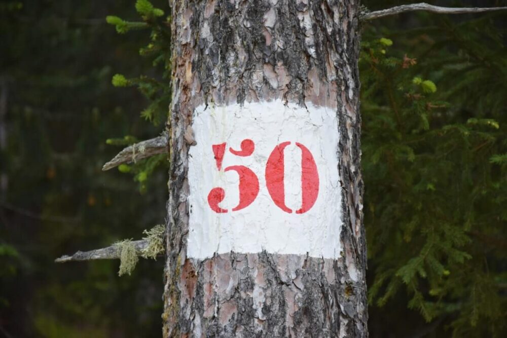 50